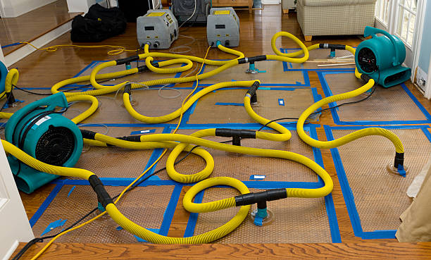 Professional Flood Damage Restoration technician working in Delmar, DE